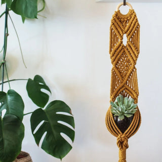 Macramé pour plante